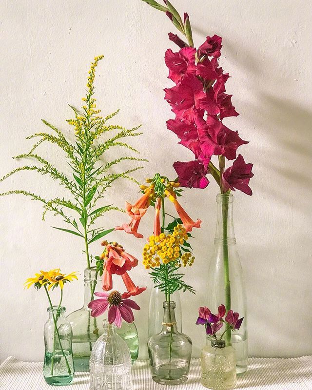 小清新插花藝術(shù)欣賞，生活如此美好