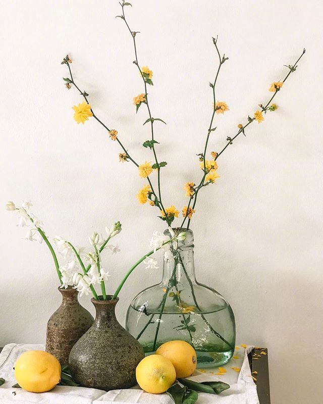 小清新插花藝術(shù)欣賞，生活如此美好