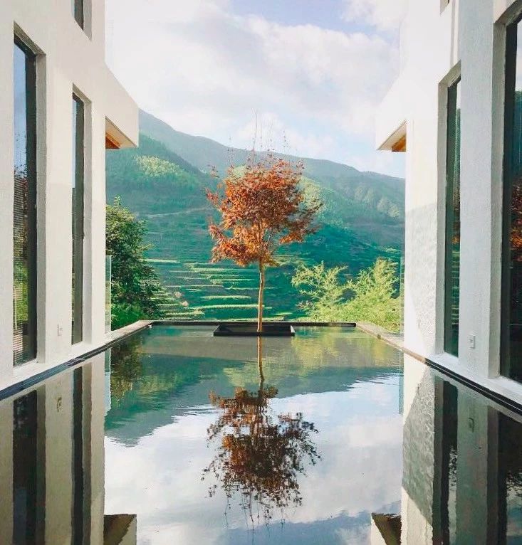 麗水遂昌|云逸遠山，擁有超美的云海和銀河