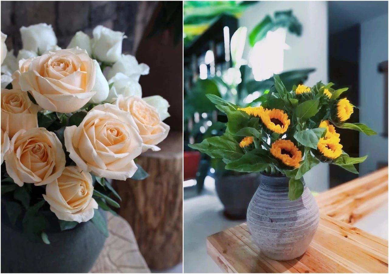 麗水遂昌|云逸遠山，擁有超美的云海和銀河