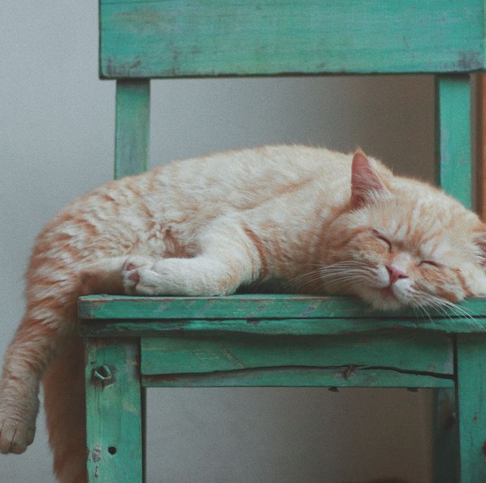 3家不錯(cuò)的杭州民宿，度過最驚艷的時(shí)光