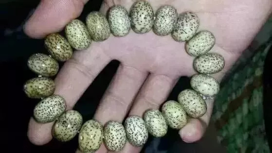 如何盤出包漿星月菩提？驚艷菩提包漿的全過程