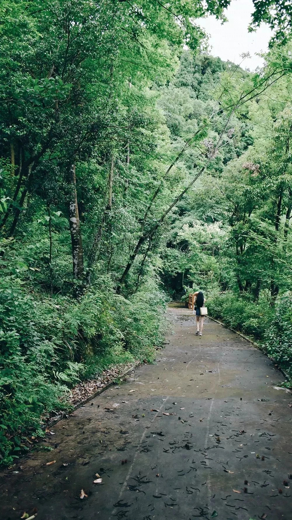 千島湖|傾境，慢生活消磨著自己的時(shí)光