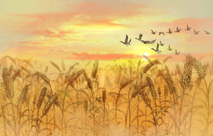 花香滿溢的古風(fēng)圖片，春天意境的唯美古風(fēng)圖片