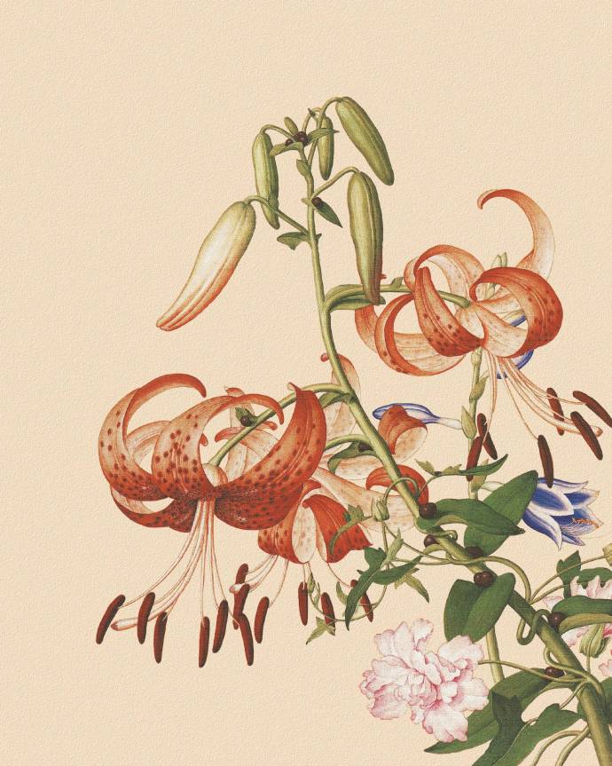 郎世寧的工筆畫(huà)欣賞，品味國(guó)畫(huà)藝術(shù)的古典之美