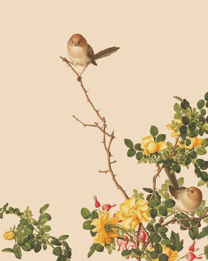 郎世寧的工筆畫(huà)欣賞，品味國(guó)畫(huà)藝術(shù)的古典之美