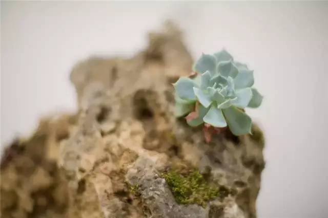 麗江新中式風格民宿，麗水云邊