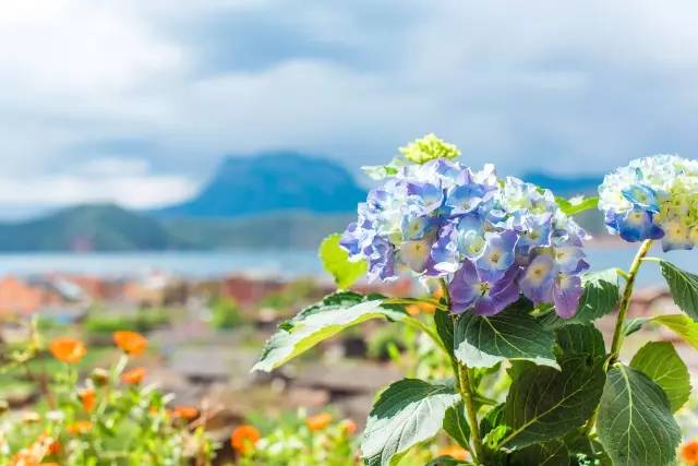 瀘沽湖新中式風(fēng)格民宿，等風(fēng)·半山