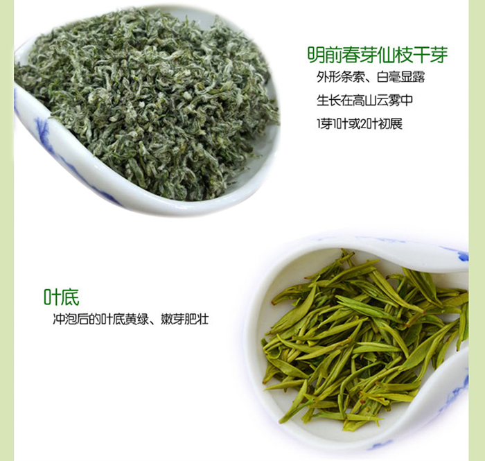 中國十大名茶之都勻毛尖