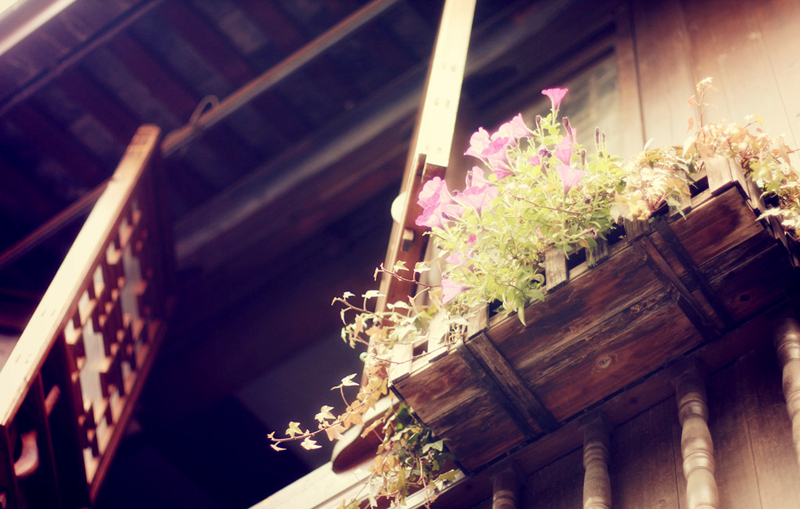 古建筑裝飾之美，花窗（2）