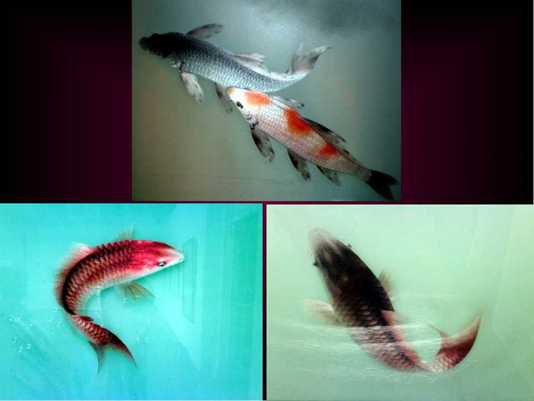 “蘇繡皇后”姚建萍，作品欣賞