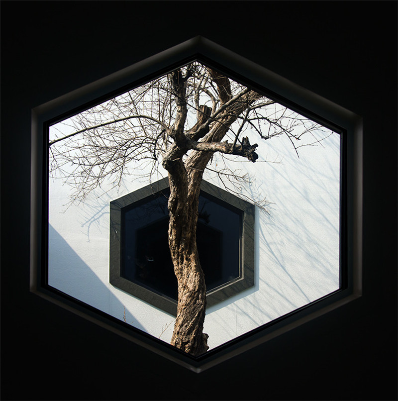 蘇州博物館，空間與園林的完美結(jié)合