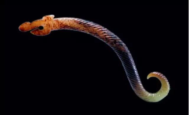 中國華夏戰(zhàn)國時期古玉之美