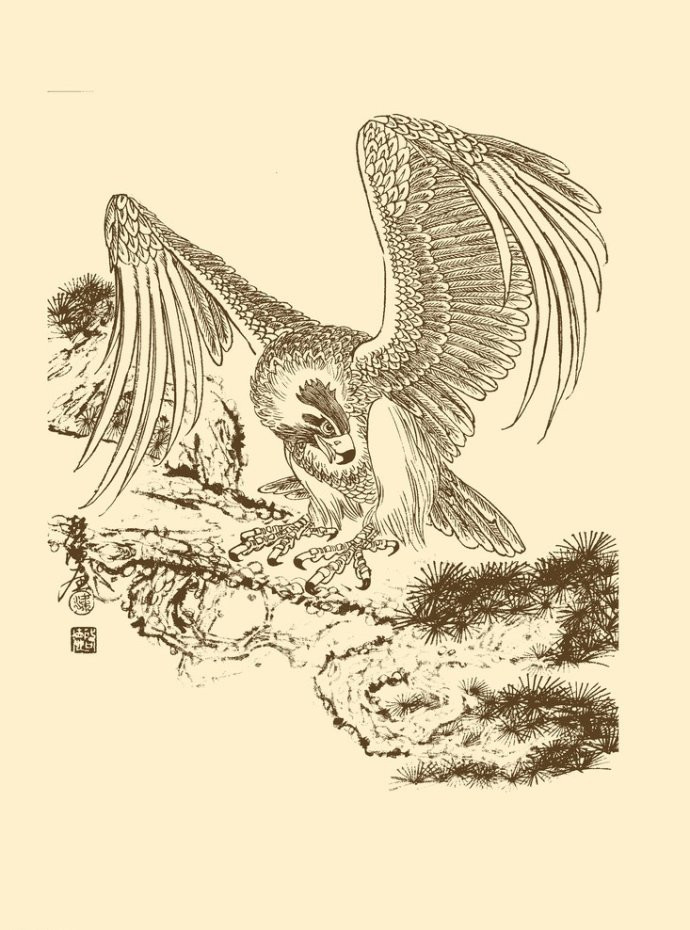 梁啟德精美雄鷹白描作品