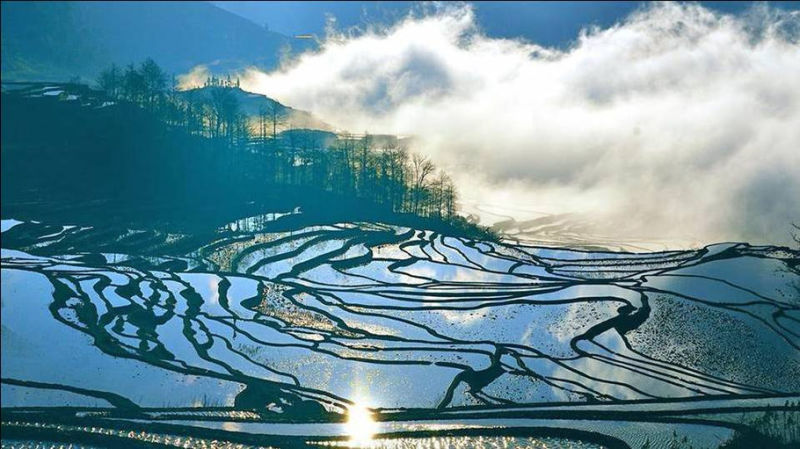 藍色的元陽梯田風光攝影