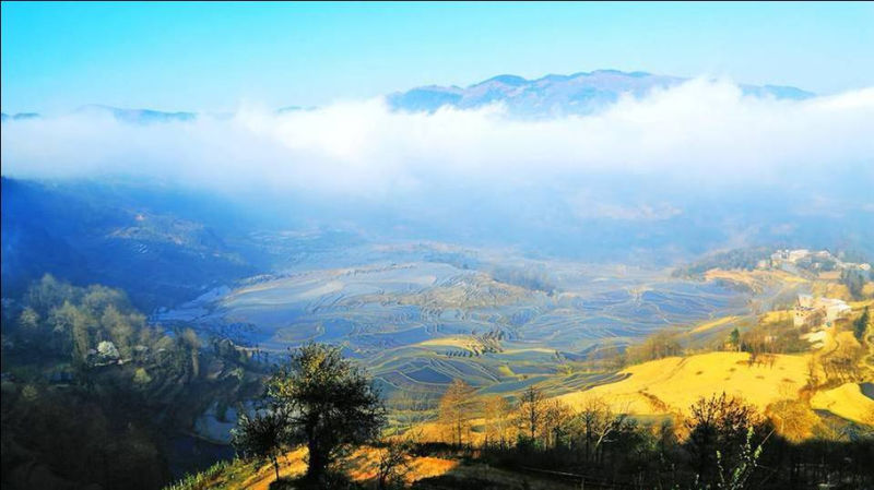 藍色的元陽梯田風光攝影