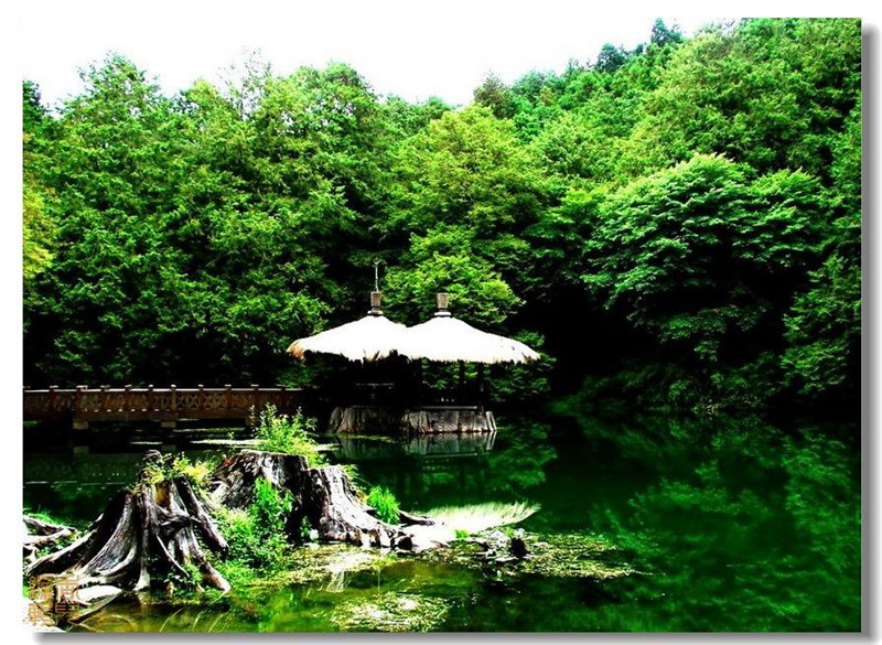 臺灣阿里山風(fēng)光攝影欣賞