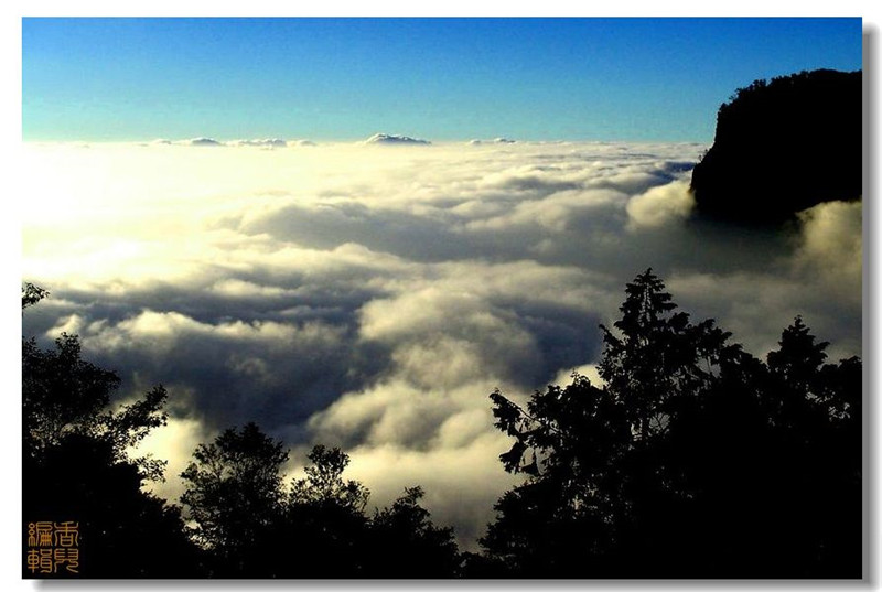 臺灣阿里山風光攝影欣賞