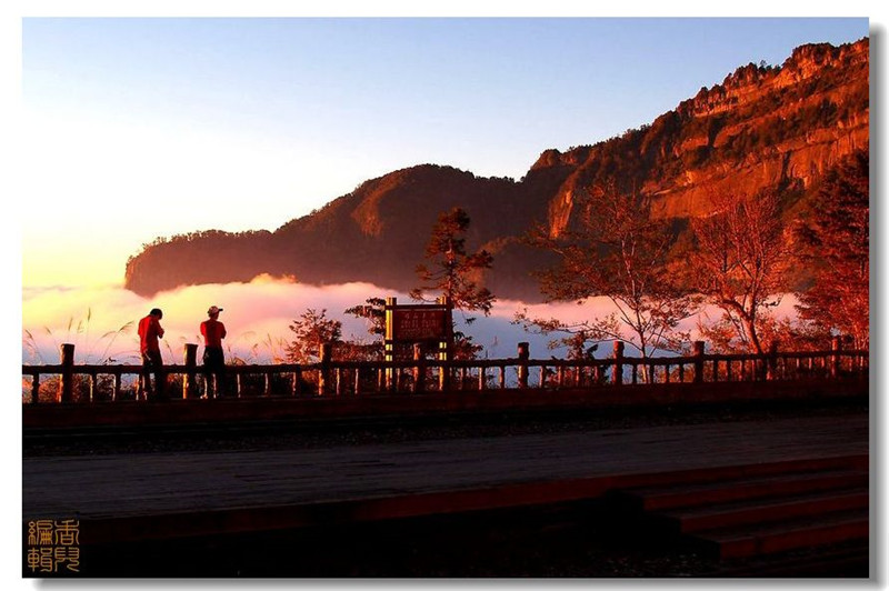 臺灣阿里山風光攝影欣賞