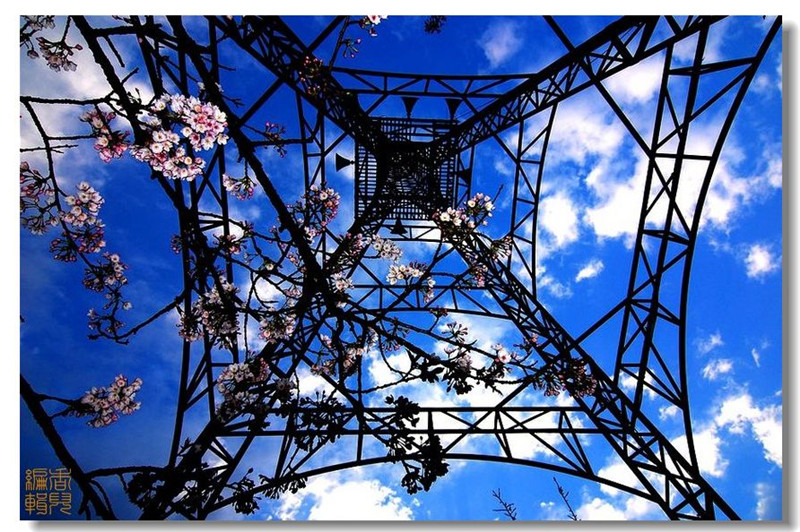 臺灣阿里山風(fēng)光攝影欣賞