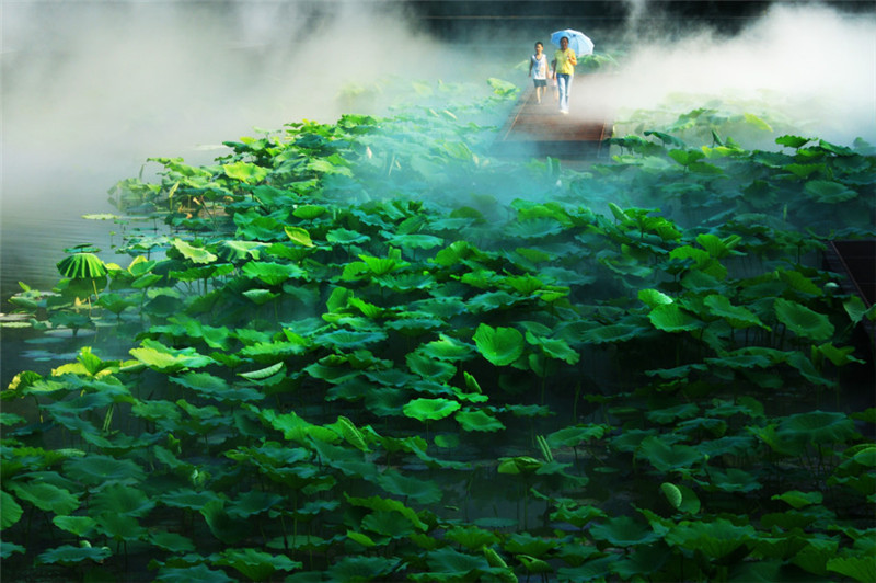 夏日的五岳之冠武當山