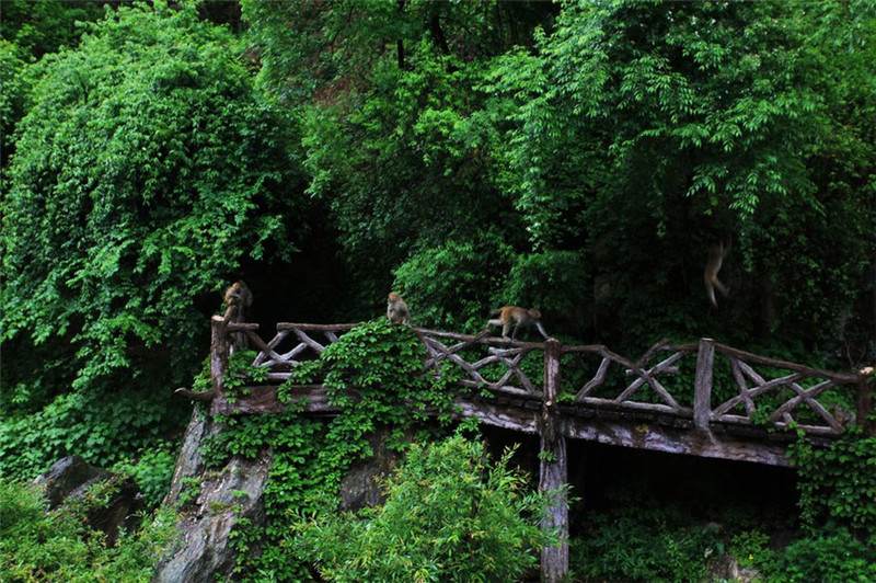 夏日的五岳之冠武當(dāng)山