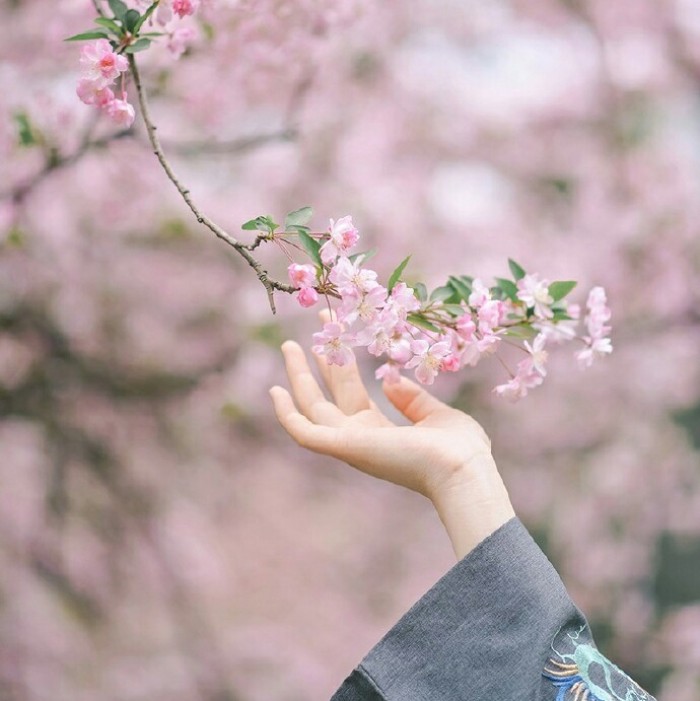 玉手撫枝古風(fēng)頭像，唯美女子纖手頭像