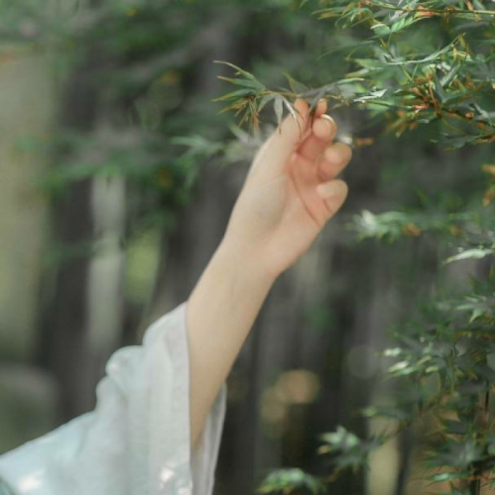 玉手撫枝古風(fēng)頭像，唯美女子纖手頭像
