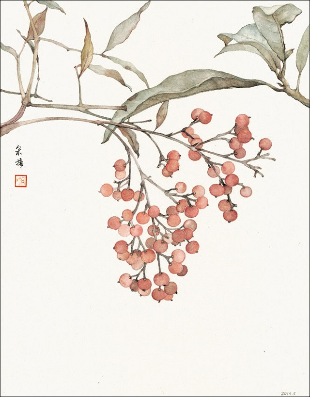 古典清雅宋揚(yáng)國(guó)畫植物家具工筆畫（二）