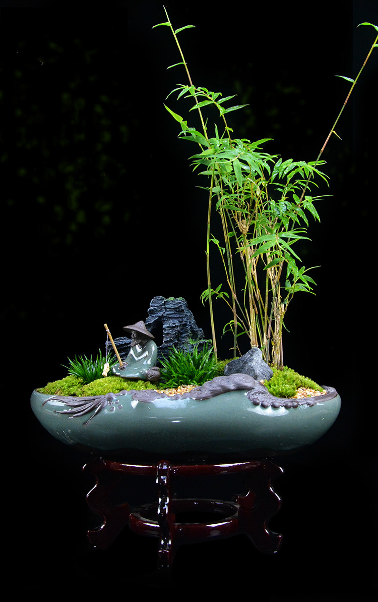 米竹雅致盆景，四季常青竹韻盆景圖片