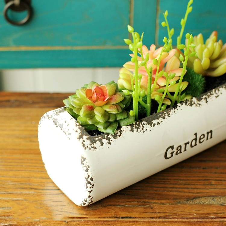 田園風(fēng)格盆景，綠意盎然盆景圖片