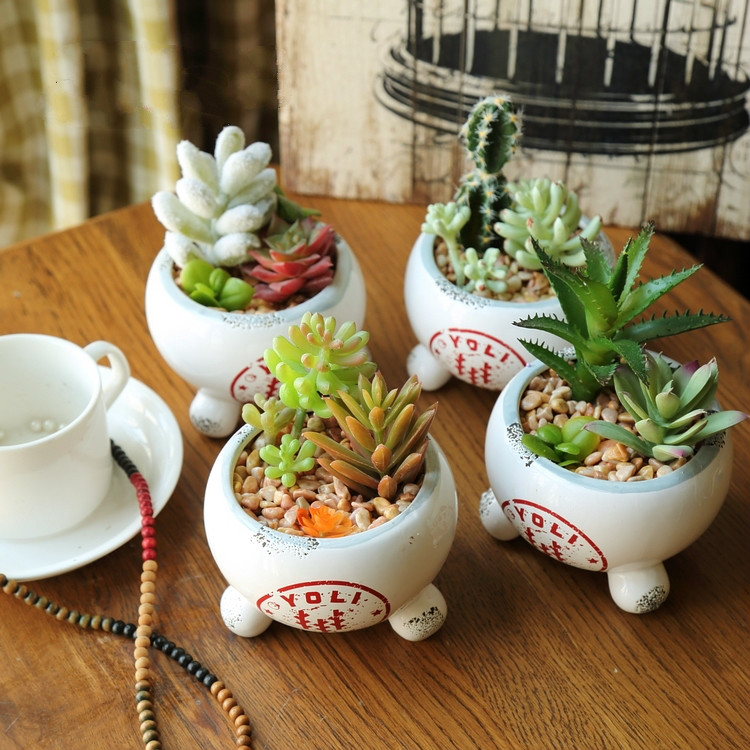 田園風(fēng)格盆景，綠意盎然盆景圖片