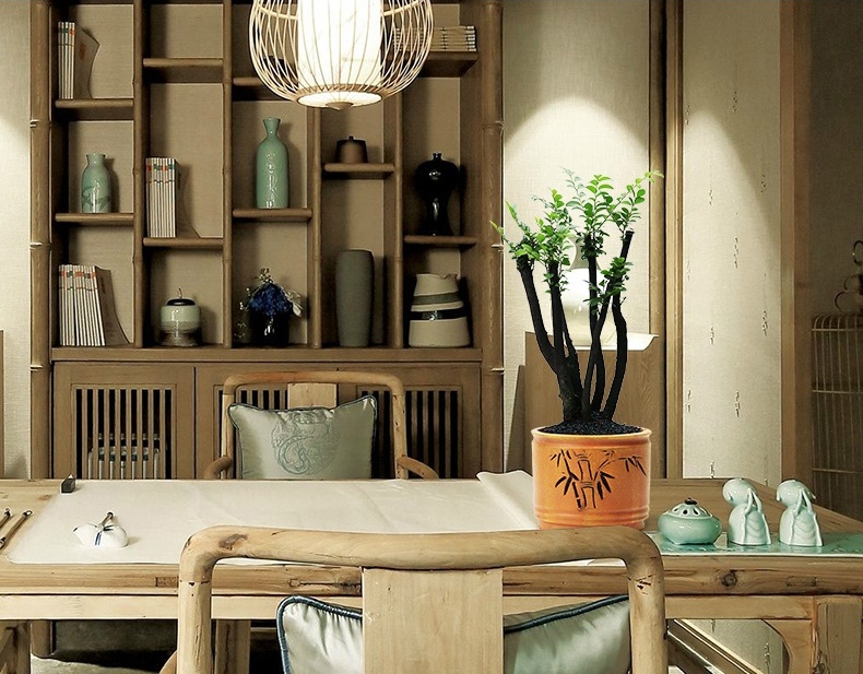 小葉紫檀盆景，黑骨茶樣式盆景圖片