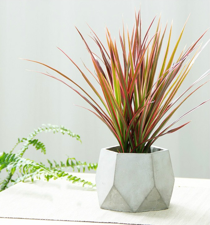 簡約水泥盆景，創(chuàng)意時尚盆景圖片