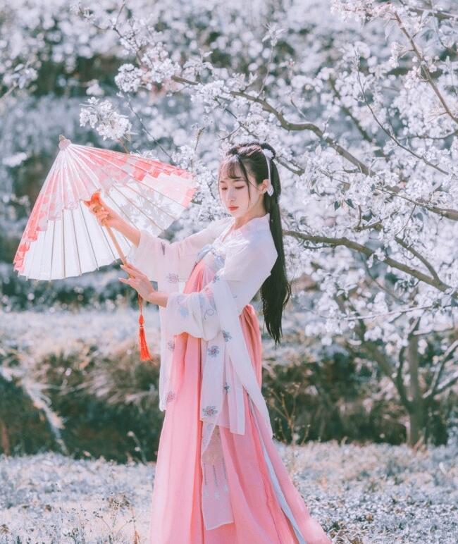 刺繡對襟齊胸襦裙，清新淡雅漢服