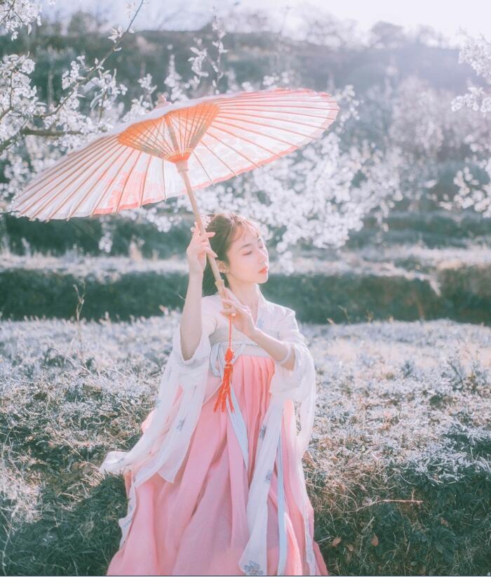 刺繡對襟齊胸襦裙，清新淡雅漢服