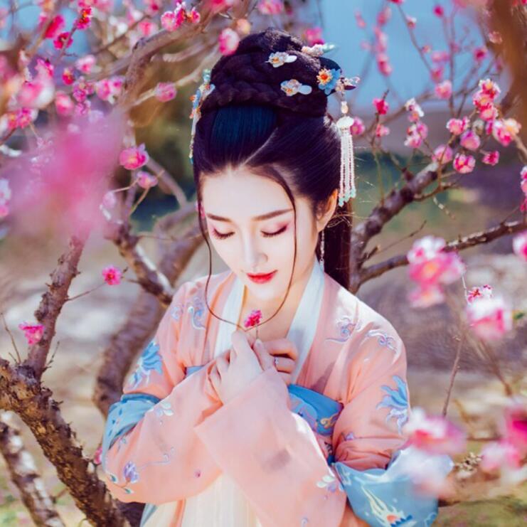 復(fù)古漢服齊胸襦裙，新款繡花漢服美女圖片