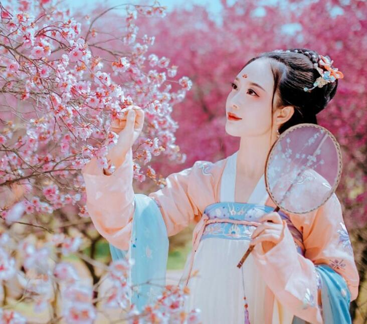 復(fù)古漢服齊胸襦裙，新款繡花漢服美女圖片