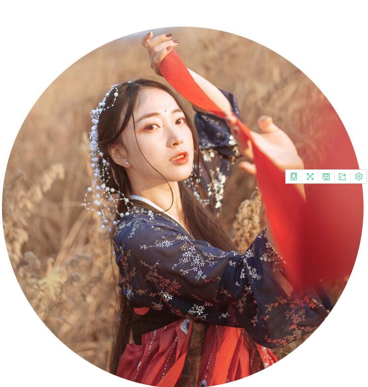 傳統(tǒng)齊胸襦裙，錦繡燙金刺繡漢服圖片