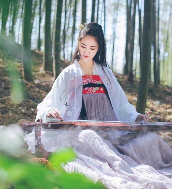 魏晉風(fēng)女裝繡花大袖衫，復(fù)古家佳樂(lè)文學(xué)漢服圖片