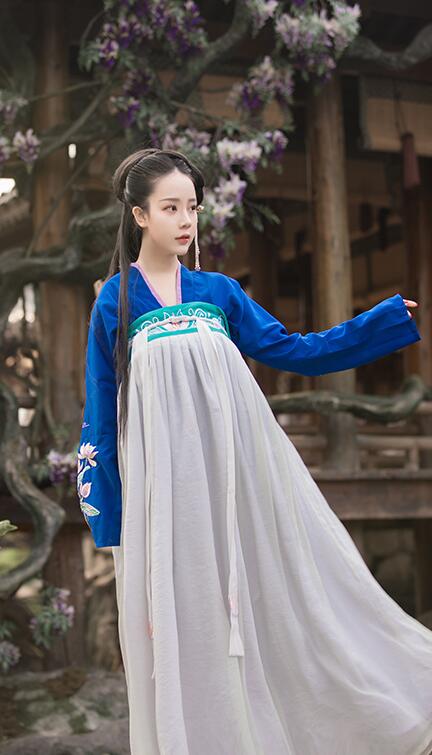 漢服荷花刺繡清新古裝，錦絲皺齊胸襦裙?jié)h服