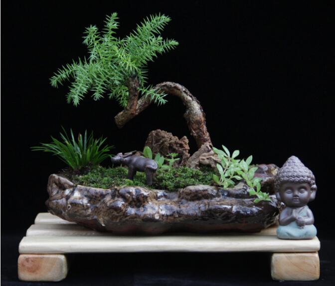 高檔水石藝術(shù)組合，綠植微景觀旱盆盆景