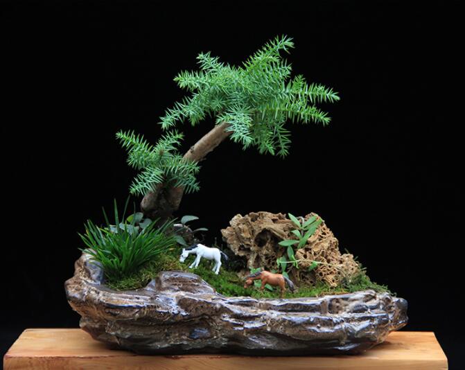 高檔水石藝術(shù)組合，綠植微景觀旱盆盆景
