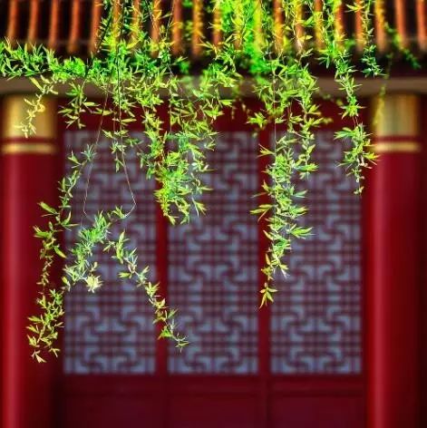 雄峙數(shù)千年的古建筑，歷史古建筑風(fēng)情萬種！