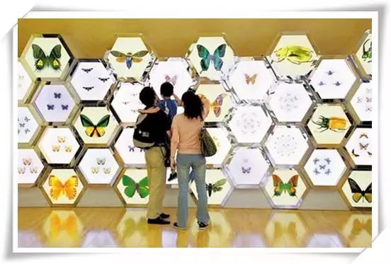 適合孩子的博物館推薦，探索世界奧秘！