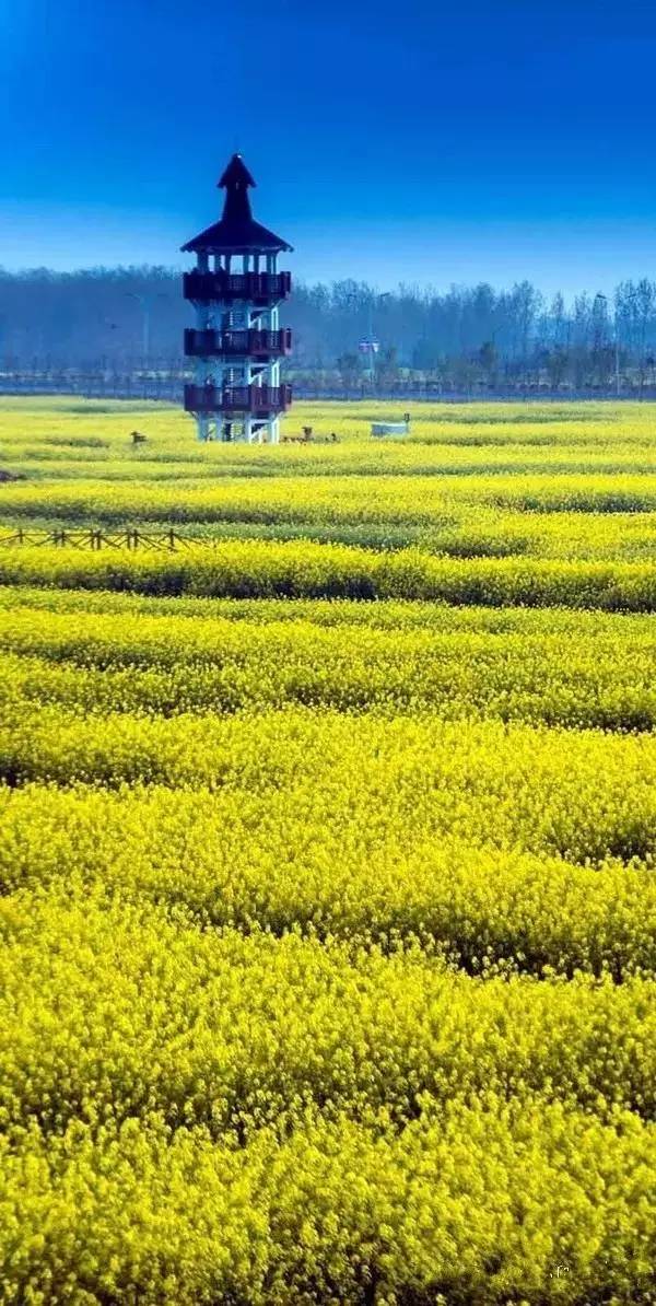 清明小長(zhǎng)假，去這9個(gè)絕美的地方踏青