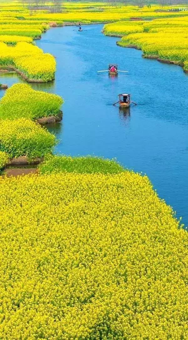 清明小長假，去這9個(gè)絕美的地方踏青