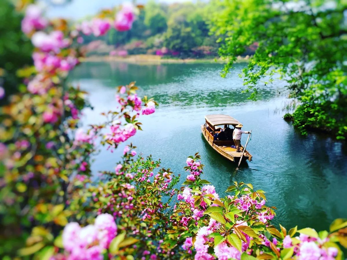 清明小長假，去這9個(gè)絕美的地方踏青