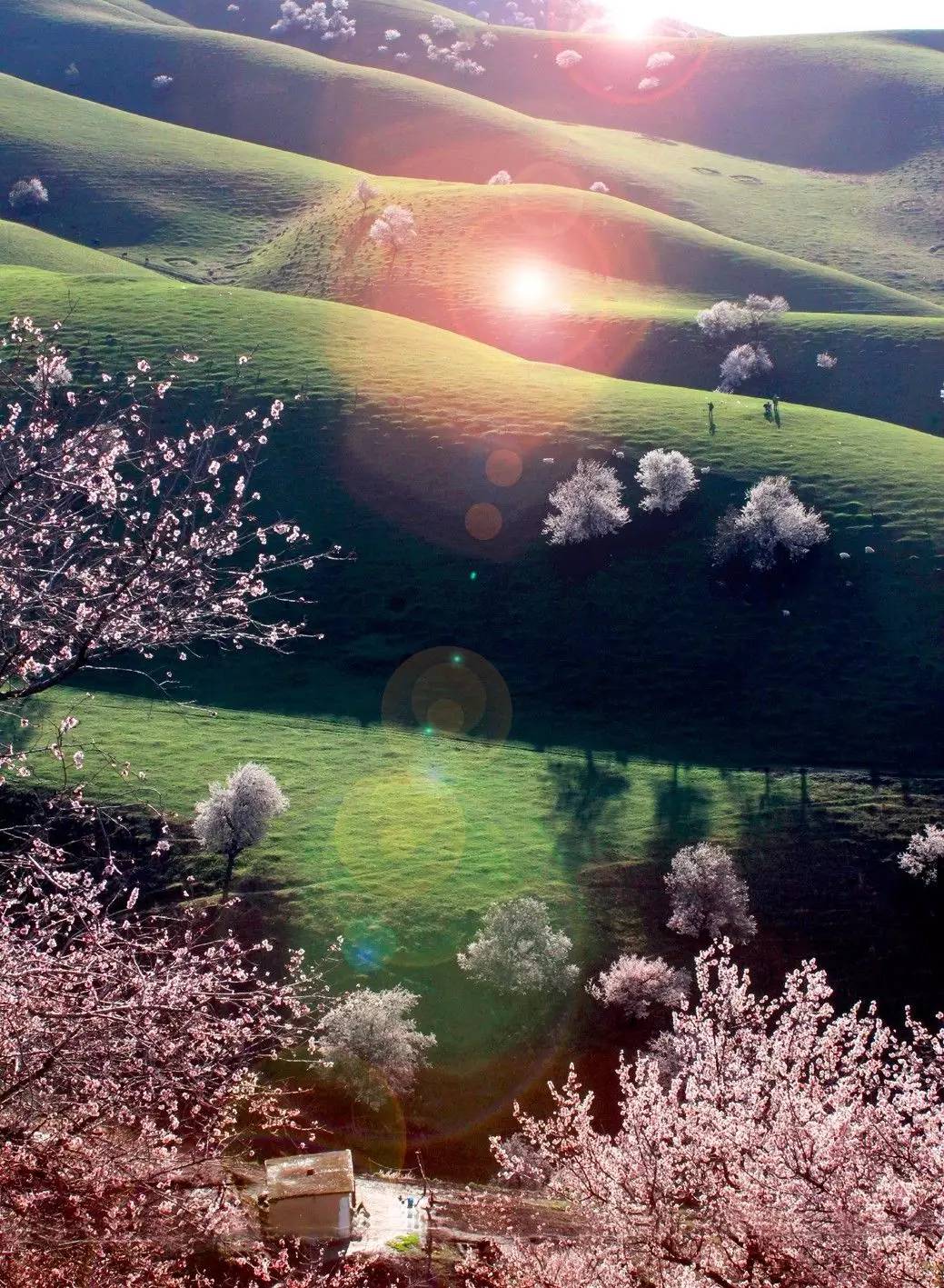 清明小長假，去這9個(gè)絕美的地方踏青