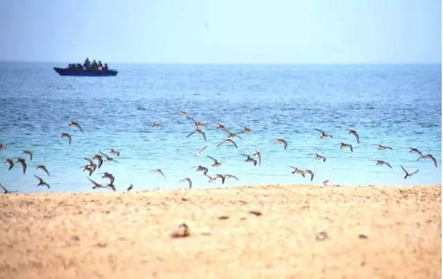 清明小長(zhǎng)假，去這9個(gè)絕美的地方踏青